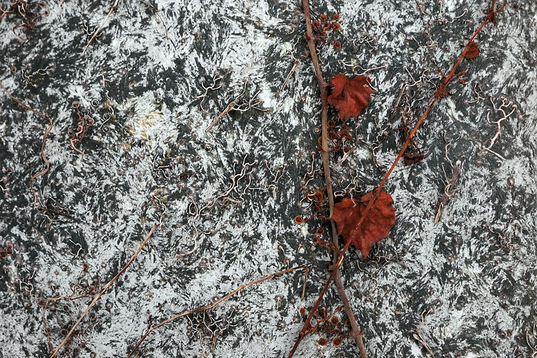 2009-01-01 blood red / blutrot