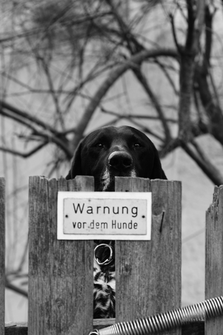 2010-01-19 beware .. / warnung ..