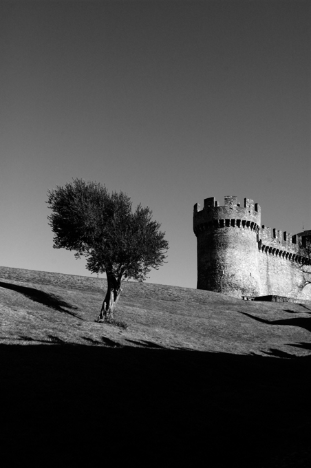 2011-03-08 bellinzona