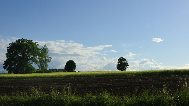 2011-05-14 bavaria / bayer