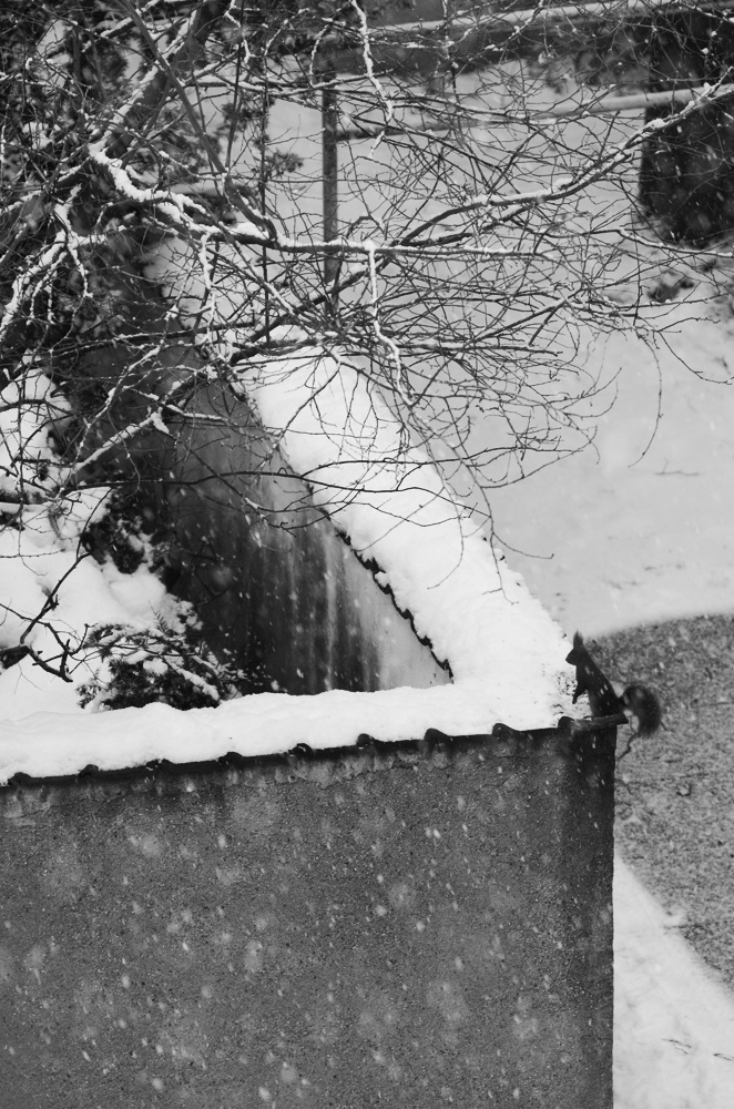 2013-01-25 .. nuts